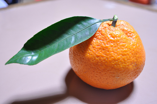 葉のついたオレンジ